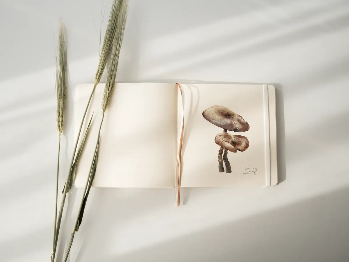 A Beginner's Guide to Keeping a Nature Journal on a Small Farm