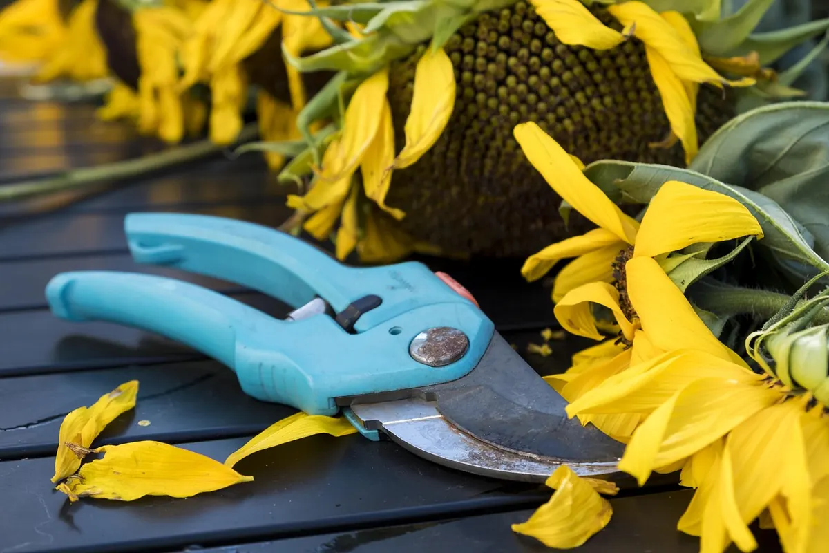 Monthly Seasonal Checklist: What to Prune, Plant, and Divide in a Temperate Garden